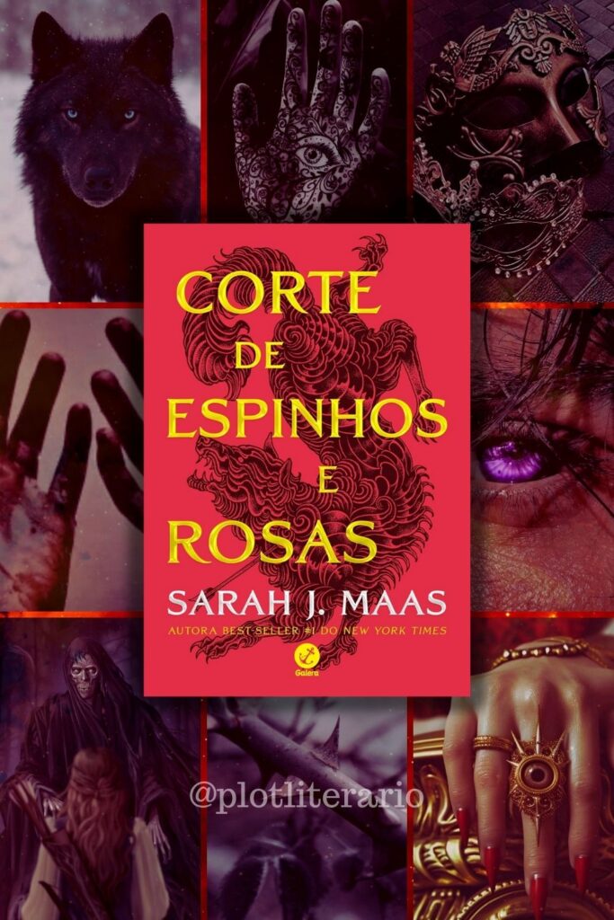 imagem aesthetic livro corte de espinhos e rosas de sarah j maas